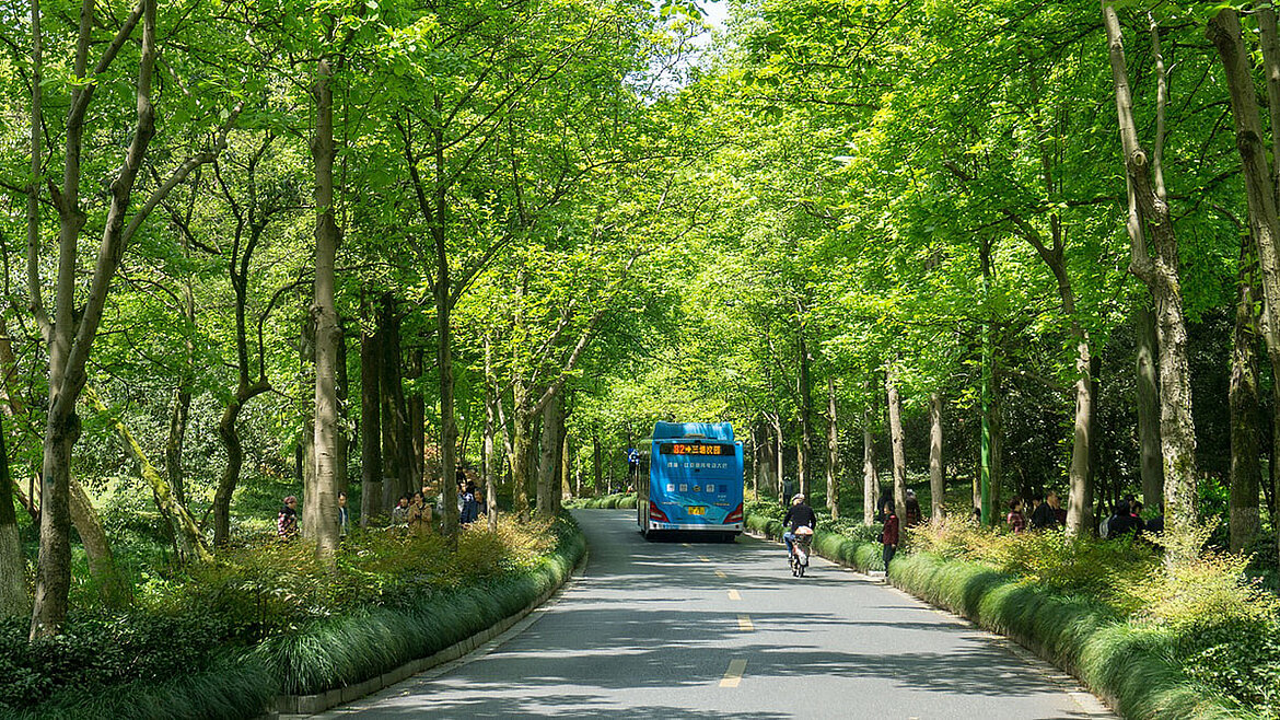 Bus im Grünen Bus im Grünen | insights by LAMILUX