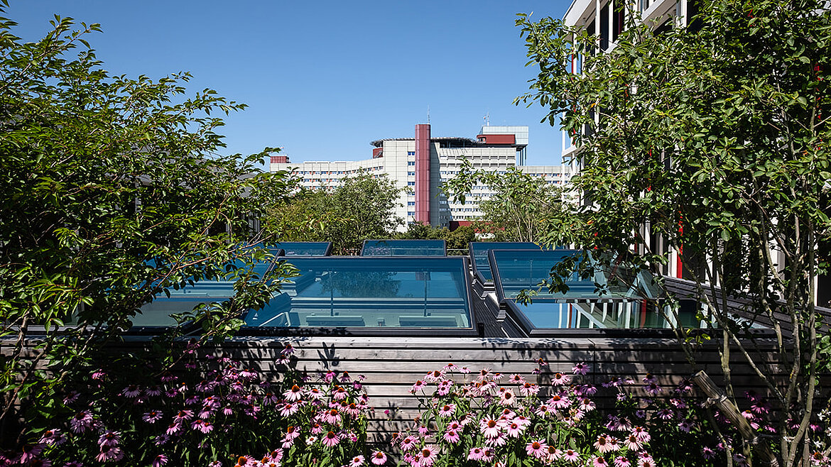 Flachdach mit großem Glasoberlicht, umgeben von Begrünung und urbaner Architektur.