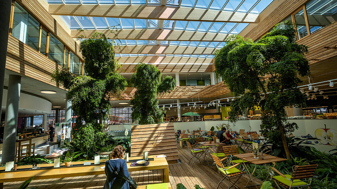 Helles Einkaufszentrum-Atrium mit Holzmöbeln, Grünpflanzen und Glasdach