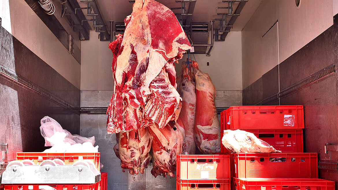 Fleischhangfahrzeug Schweinehälften in Fleischhangfahrzeug